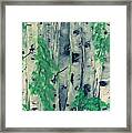 Canadian White  Poplar Framed Print