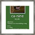 Canine Poster Framed Print