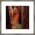 Canyon Tree Framed Print