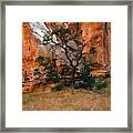 Canyon View With Tree Framed Print