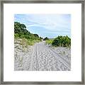 Cape Cod Sandy Walk Framed Print