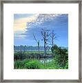 Cape Fear Morning 2 Framed Print