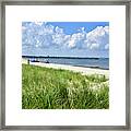 Cape Henlopen Delaware Framed Print