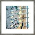 Cape May Afternoon Window Framed Print
