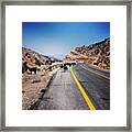 Capra Road Framed Print