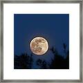 Capricorn Full Moon Framed Print