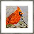 Cardinal In All His Glory Framed Print