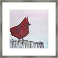 Cardinal On A Fence Post Framed Print