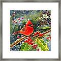 Cardinal With Berries Framed Print