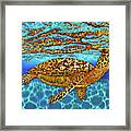 Caribbean Hawksbill Sea Turtle Framed Print