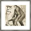 Caricature Of Charles Darwin Framed Print