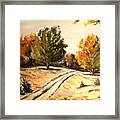 Carriage Path Framed Print