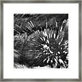 Cascade Abstract - Black And White Framed Print