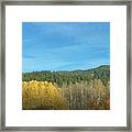 Cascade Fall Framed Print