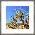 Cast Of Desert Characters Framed Print