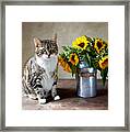 Cat And Sunflowers Framed Print