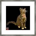 Cat Art - 3771 Bb Framed Print