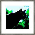 Cat Bathed In Green Light Framed Print