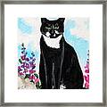 Cat In The Garden Framed Print
