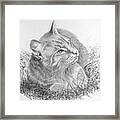 Cat In The Grass Framed Print