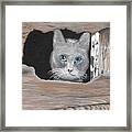 Cat In The Hole Framed Print