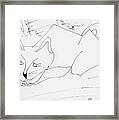 Cat Framed Print