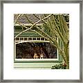 Cat Pals Waiting Framed Print