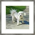 Catch Me If You Can Mommy Framed Print