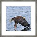 Catch Of The Day...for Both Of Us Framed Print