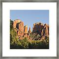 Cathedral In The Trees Framed Print