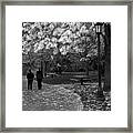 Cathedral Park In Fall Bw Framed Print