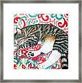 Catnap Time Framed Print