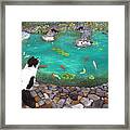 Cats And Koi Framed Print