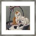 Cats In The Basket Framed Print