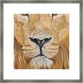 Caught In Your Gaze Framed Print