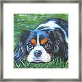 Cavalier King Charles Spaniel Tricolor Framed Print