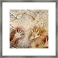 Cave Of El Castillo Hands And Bison Framed Print