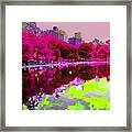 Central Park New York Framed Print