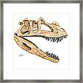 Ceratosaur Skull Framed Print