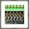 Chain Guard Framed Print