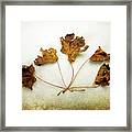 Changes Framed Print