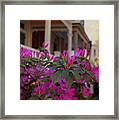 Charming In Savannah Framed Print