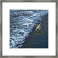 Chasing Waves Framed Print