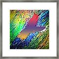 Chaste Of Colorz Framed Print