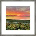 Chatham Ma Cape Cod Sunrise Beach Framed Print