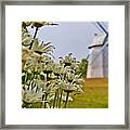 Chatham Windmill Framed Print