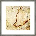 Chauvet Cave Bear Framed Print