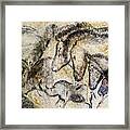 Chauvet Horses Aurochs And Rhinoceros Framed Print
