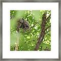 Checking You Out Framed Print