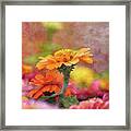 Cheerful Shades Of Optimism 1311 Idp_2 Framed Print